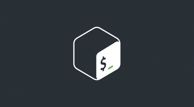 bash-logo
