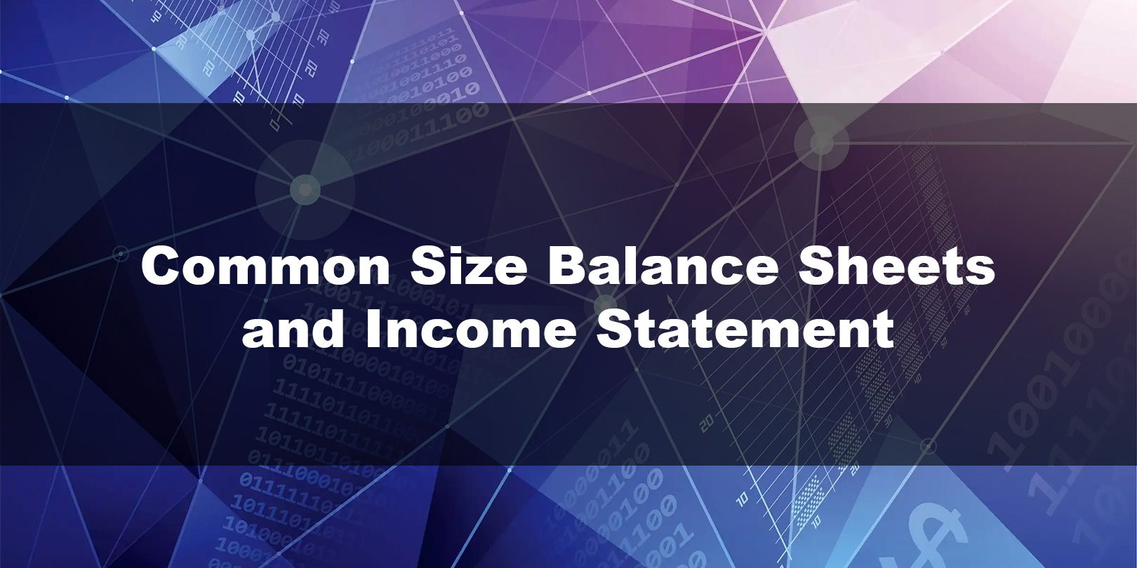 Common Size Balance Sheets and Income Statement