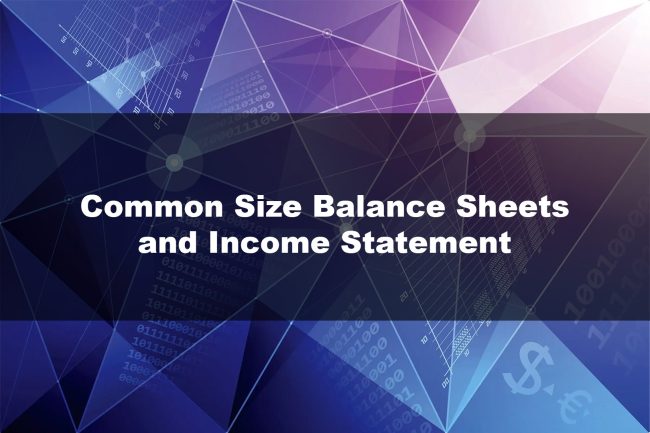 Common Size Balance Sheets and Income Statement