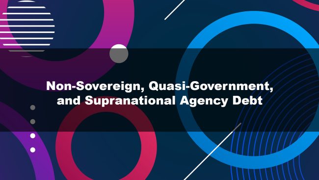 Non-Sovereign, Quasi-Government, and Supranational Agency Debt