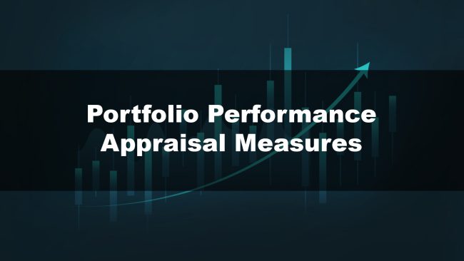Portfolio Performance Appraisal Measures