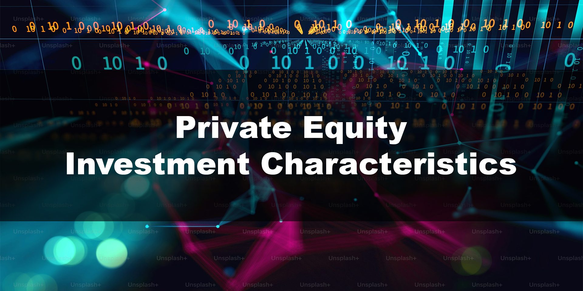 Private Equity Investment Characteristics