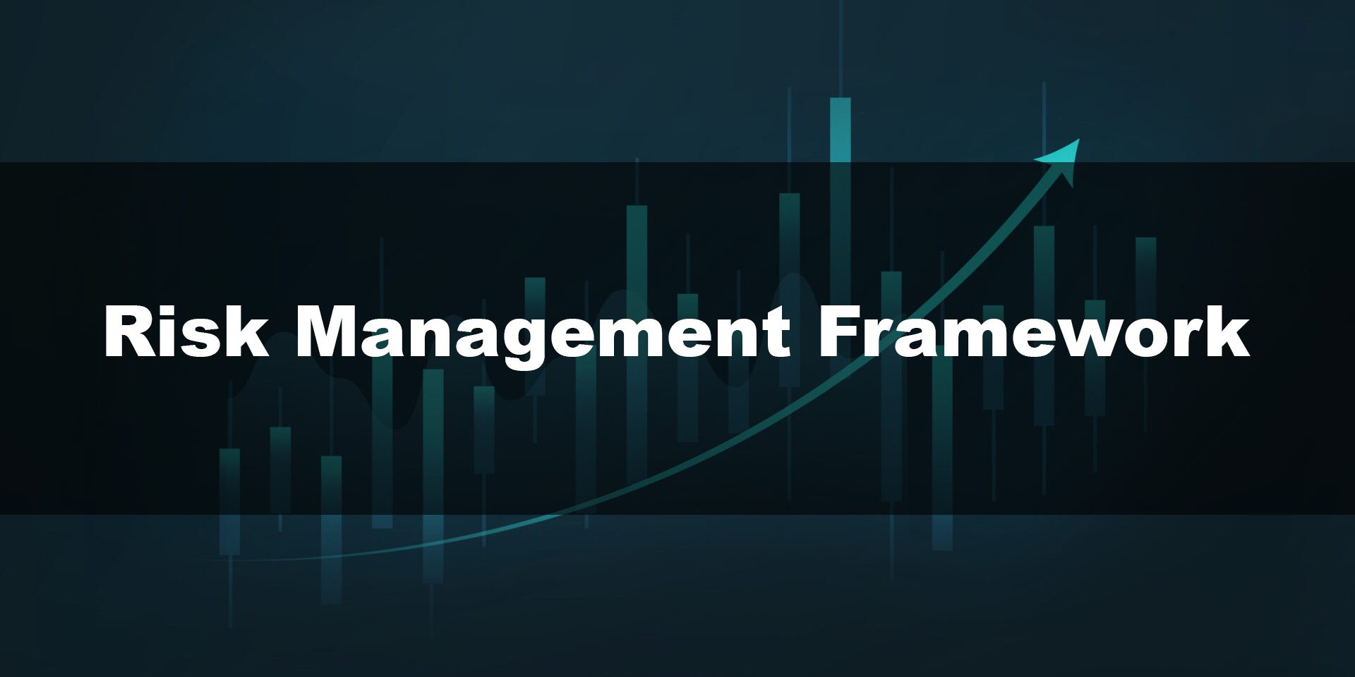 Risk Management Framework