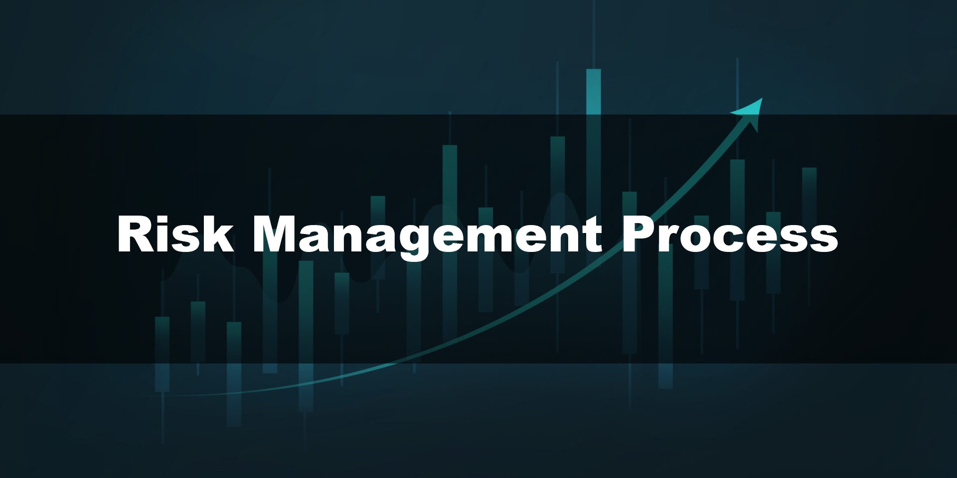 Risk Management Process